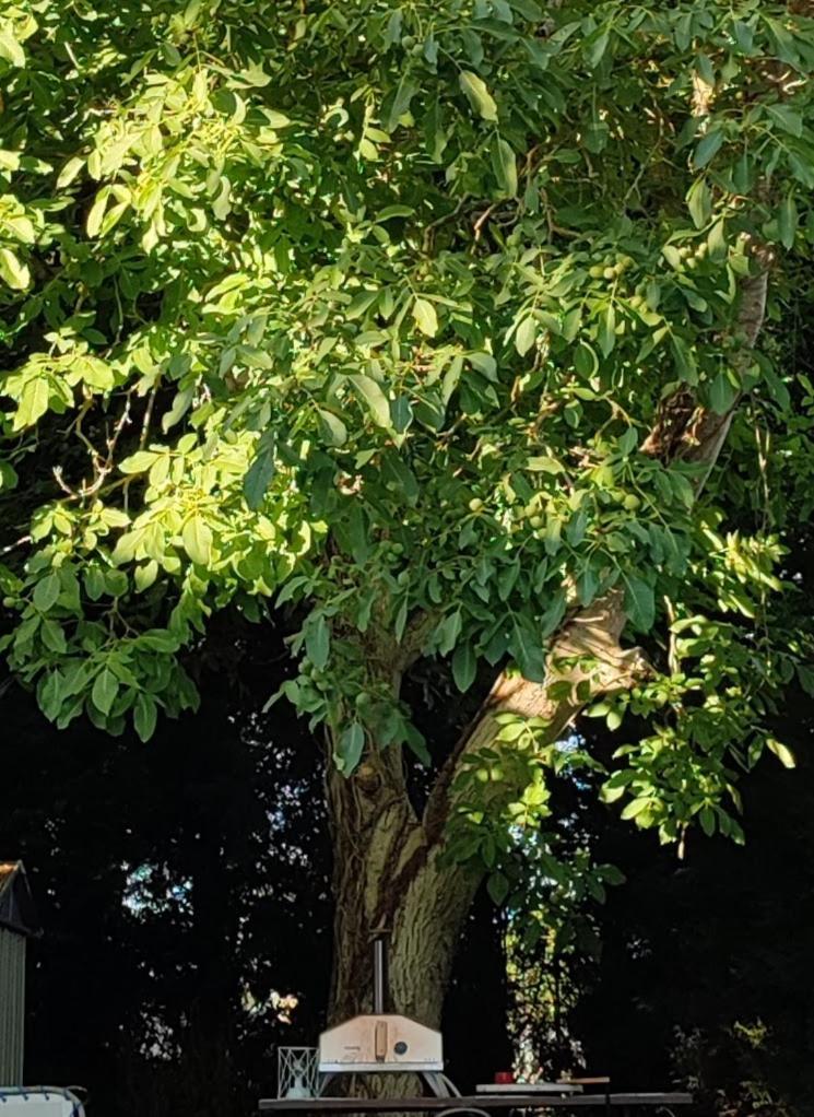 La Demeure Du Figuier Villa Évran Kültér fotó